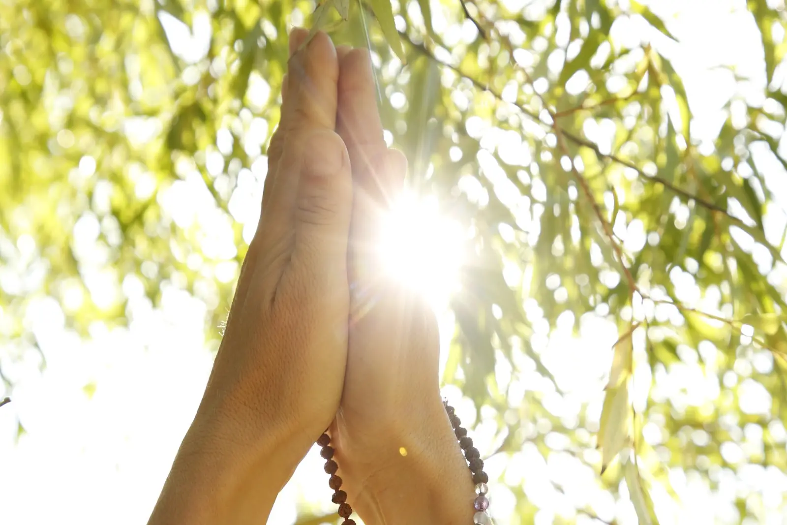 Mãos unidas erguidas contra o sol, com um japamala e pulseiras, entre folhas de salgueiro